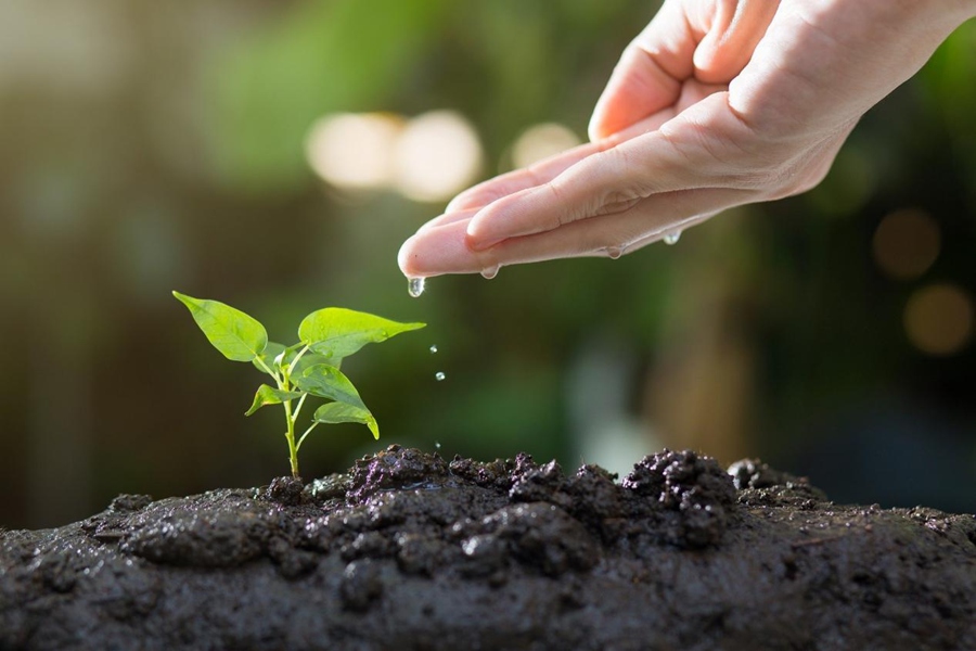 Fertilizers