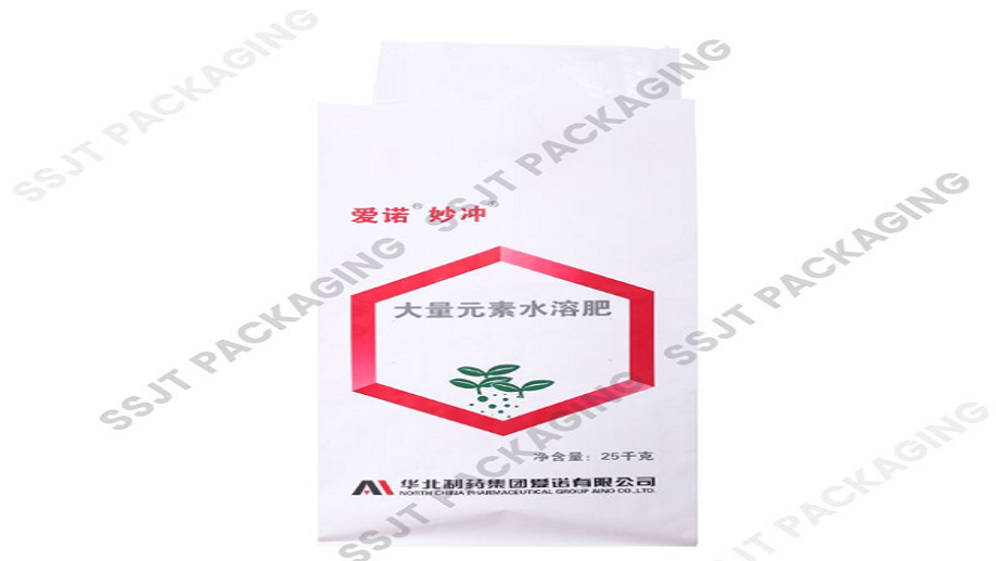 What Is a PP Valve Bag?